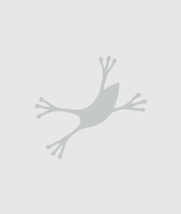 Lorem Ipsum